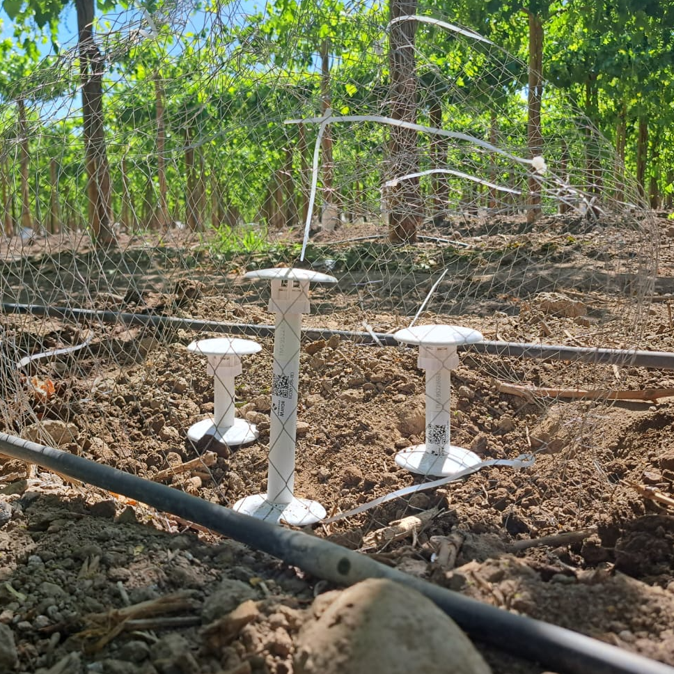 Proyecto ODES. Observatorio de Sequía para la agricultura y la biodiversidad, cuenca del Aconcagua.
