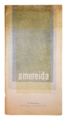 Amereida bc web.png